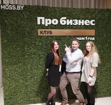 Фотозона из стабилизированного мха